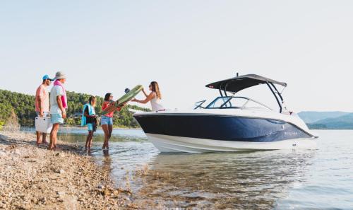 bayliner-v20.jpg