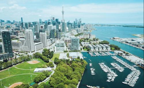 toronto-harbour.jpg