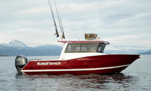 kingfisher-23-xac.jpg